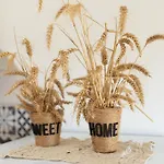 Apartment Le Duplex Du Castel - Escapade Tarnaise *