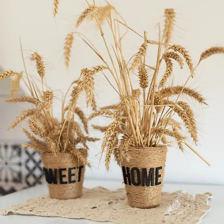 Appartamento Le Duplex Du Castel - Escapade Tarnaise *