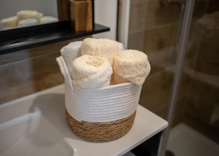 Le Duplex Du Castel - Escapade Tarnaise Apartment *