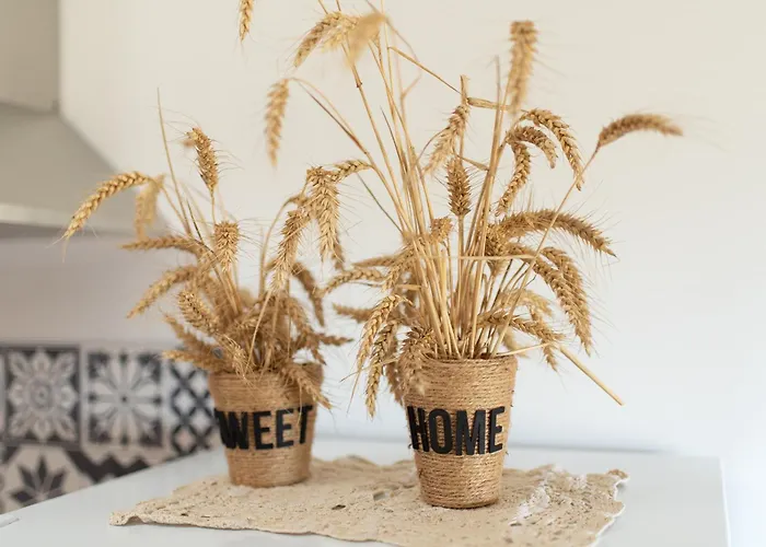 Apartment Le Duplex Du Castel - Escapade Tarnaise *