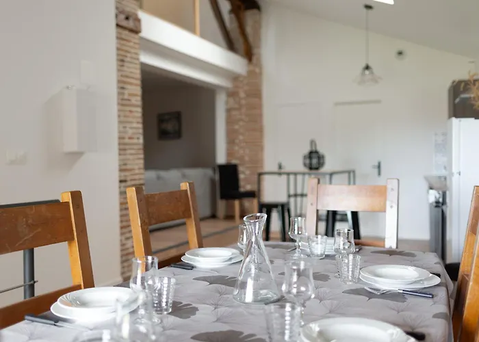 Le Duplex Du Castel - Escapade Tarnaise Apartment *